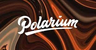 Swedish Energy Storage Solutions Provider Polarium Receives $100 Million in I...