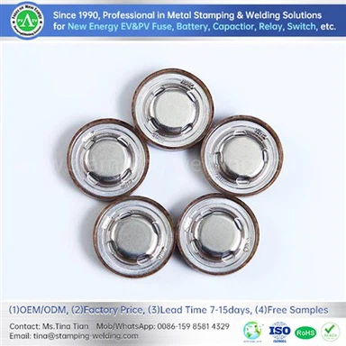 Electric Vehicle Battery Pack Safety Valve