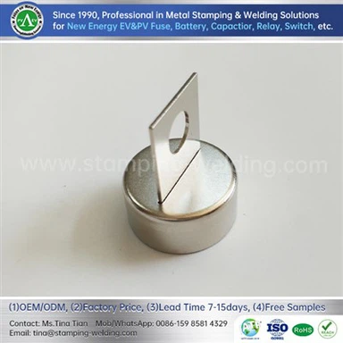 High Voltage Automotive Fuse Cap