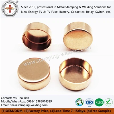 Fuse Copper Cap industry knowledge analysis