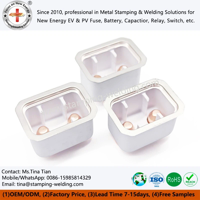 High Purity Alumina Precision Advanced Ceramic Metallization Parts