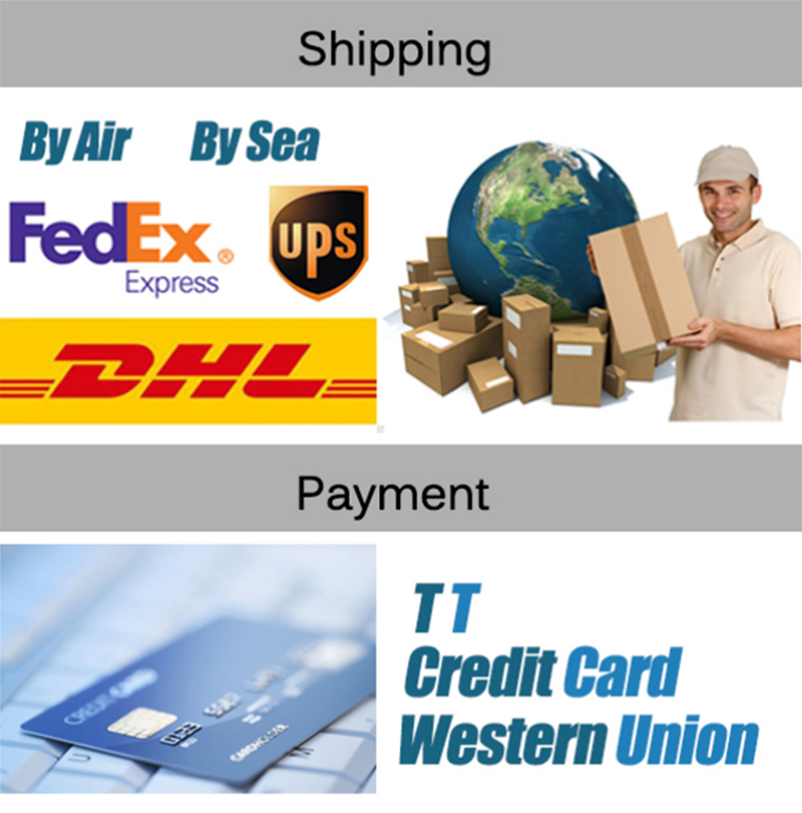 Apollo Logistics and Payment Methods Apollo Logistics and Payment Methods