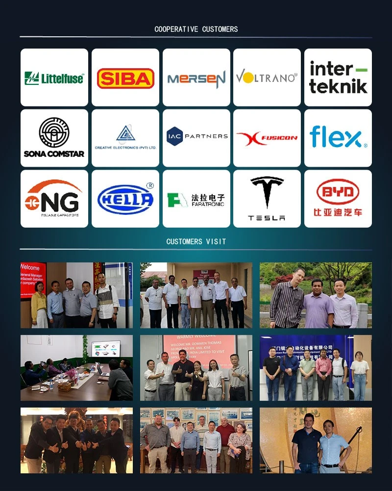 Our Customers for fuse manufacture Our Customers for fuse manufacture
