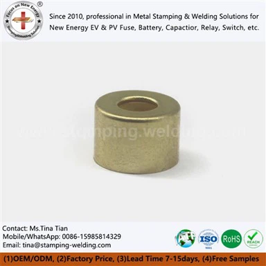 Brass Small Cap For NEV Fuse